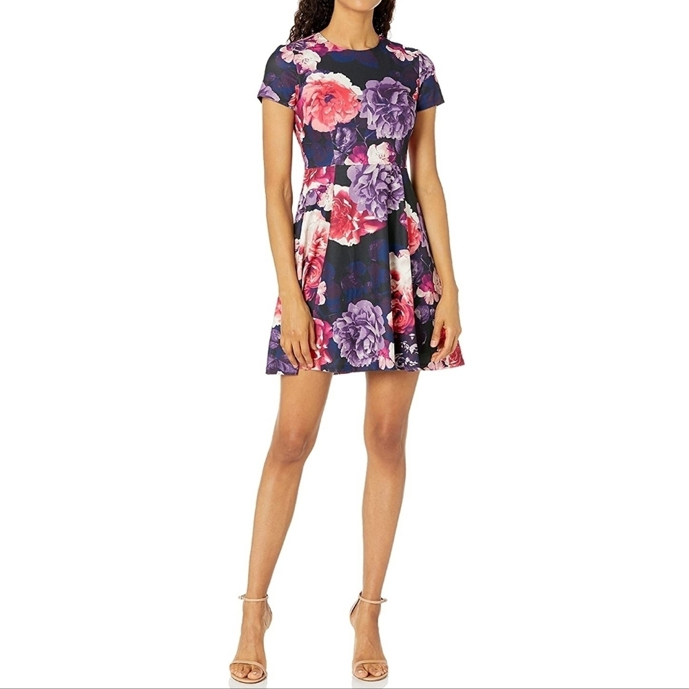 Eliza J Floral Fit and Flare A Line Short Sleeve Zip Purple Black Dress Size 6